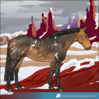 Horse Color:White Spotted Buckskin