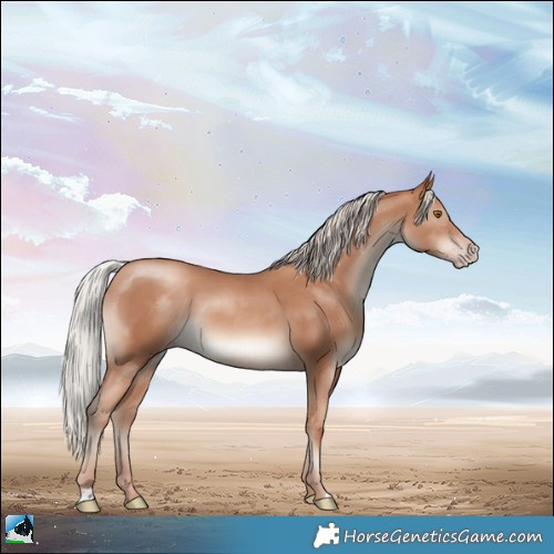 Horse Color:Silver Classic Champagne