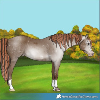 Horse Color:Gray Painted Classic Champagne 