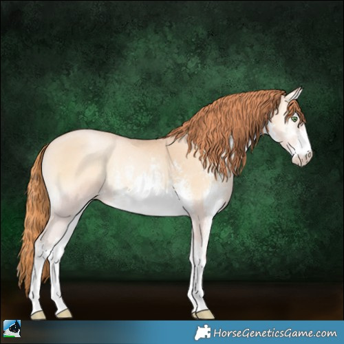 Horse Color:White Spotted Amber Champagne Pearl Onyx Sabino