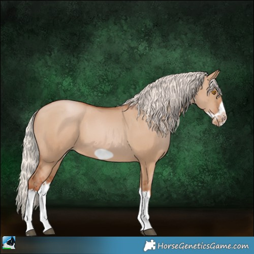 Horse Color:White Spotted Silver Grullo Pearl Splash Frame