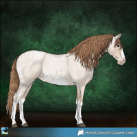Horse Color:White Spotted Grullo Ice Roan Pearl Splash Frame 