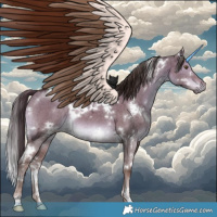 Horse Color:White Spotted Liver Red Dun Ice Brindle 
