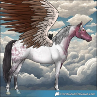 Horse Color:White Spotted Brown Ice Dun Brindle 
