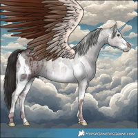 Horse Color:Liver Red Dun Sabino Tobiano Brindle 