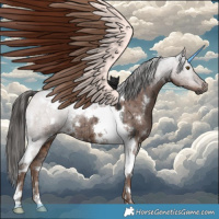 Horse Color:Gray White Spotted Liver Red Dun Ice Tobiano Brindle
