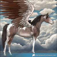 Horse Color:Liver Red Dun Sabino Tobiano Rabicano Brindle 