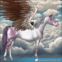Horse Color:White Spotted Liver Red Dun Mushroom Sabino Brindle 