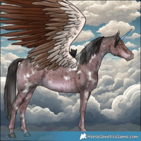 Horse Color:White Spotted Liver Red Dun Ice Brindle