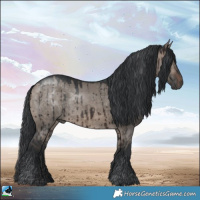 Horse Color:Brown Dun Mushroom Rabicano Brindle 