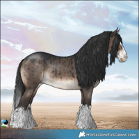 Horse Color:Brown Dun Splash Rabicano Brindle 