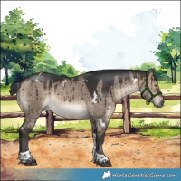 Horse Color:White Spotted Brown Dun Tobiano Brindle 