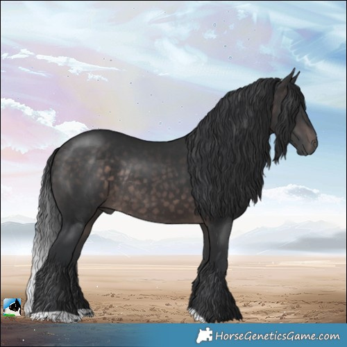 Horse Color:Platinum Brown Rabicano 
