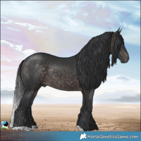 Horse Color:Platinum Brown Rabicano