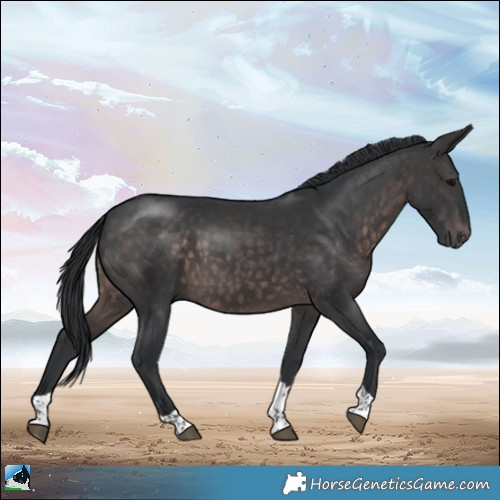 Horse Color:Platinum Brown Mushroom Tobiano Rabicano