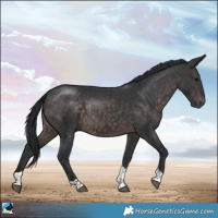 Horse Color:Platinum Brown Mushroom Tobiano Rabicano 