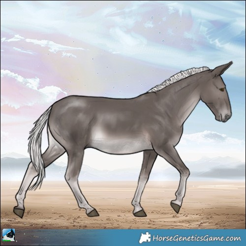 Horse Color:Platinum Chocolate Palomino Rabicano