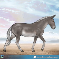 Horse Color:Platinum Chocolate Palomino Rabicano 