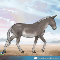 Horse Color:Platinum Chocolate Palomino Rabicano