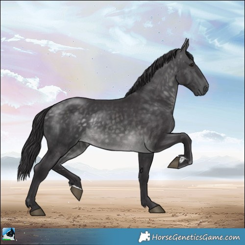 Horse Color:Platinum Buckskin Rabicano 