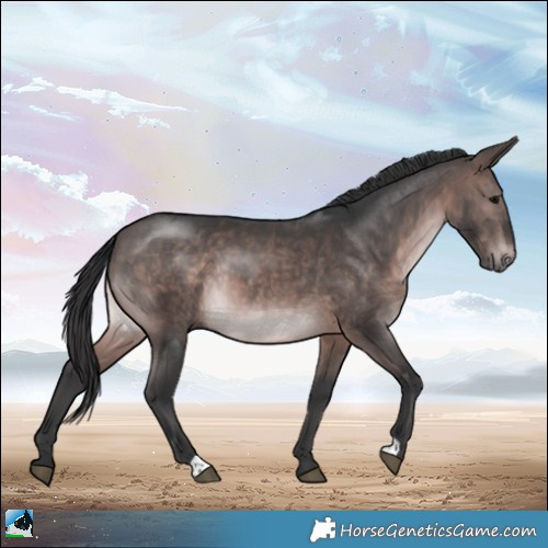 Horse Color:Platinum Brown Rabicano