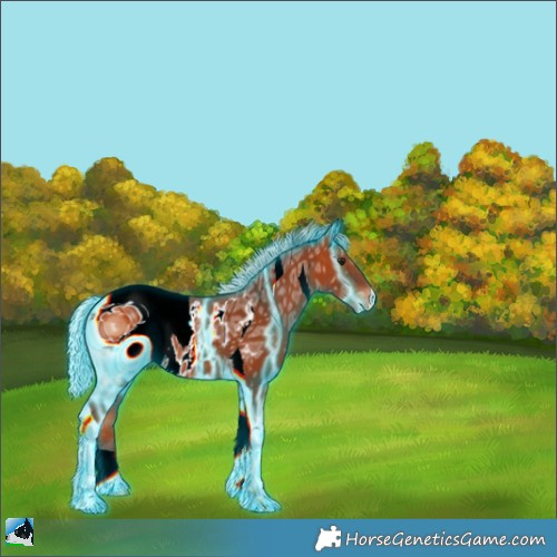 Horse Color:ERROR: UNKNOWN ANOMALY