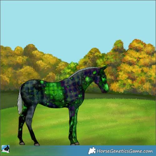 Horse Color:ERROR: UNKNOWN ANOMALY