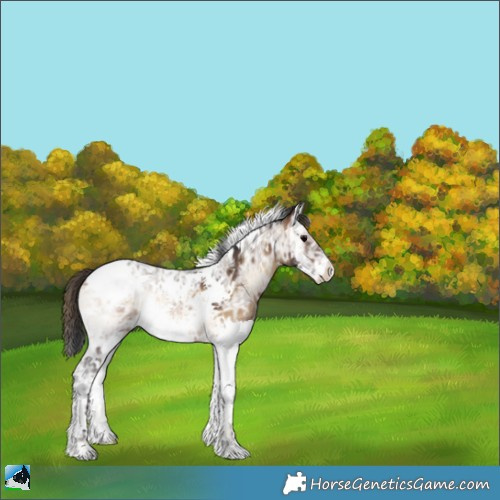 Horse Color:Plaid  Brown Ice Onyx Splash Tobiano 