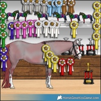 Horse Color:Watercolor Liver Red Dun 