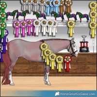 Horse Color:Watercolor Liver Red Dun