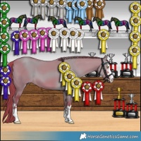 Horse Color:Watercolor Liver Red Dun 