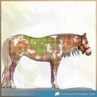 Horse Color:Plaid  White Spotted Chocolate Palomino Sabino 