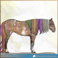 Horse Color:Painted Plaid  White Spotted Liver Red Dun Sabino 