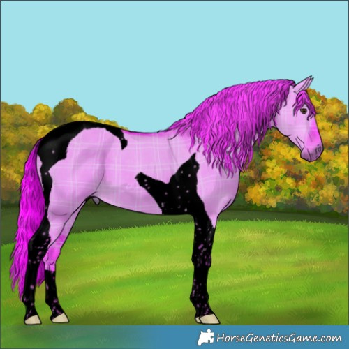 Horse Color:Void Watercolor Plaid  Liver Red Dun Tobiano 