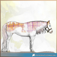 Horse Color:Watercolor Plaid  White Spotted Liver Chestnut Splash 
