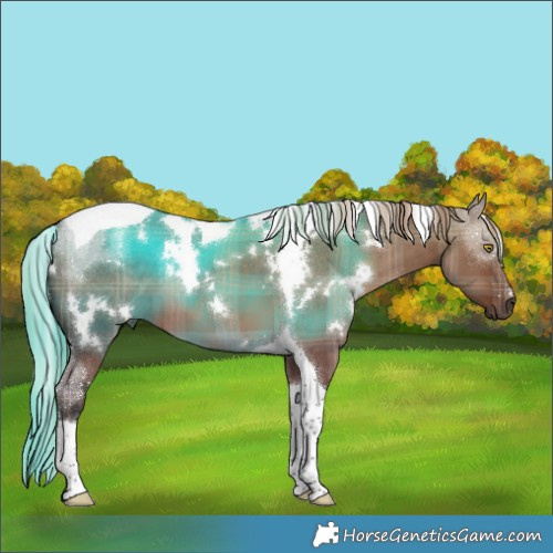 Horse Color:Plaid  White Spotted Liver Red Dun Tobiano 