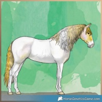 Horse Color:Watercolor Plaid  Liver Red Onyx Roan Tobiano Brindle 