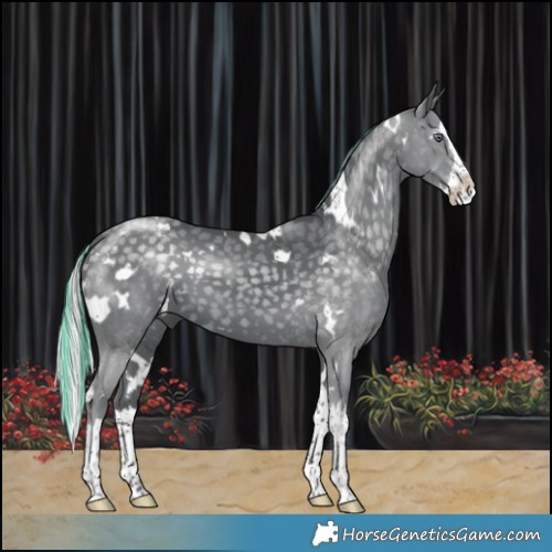 Horse Color:Painted White Spotted Silver Black Chinchilla Splash 