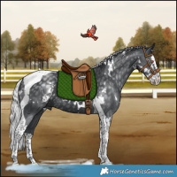 Horse Color:White Spotted Silver Black Chinchilla Splash Tobiano Rabicano