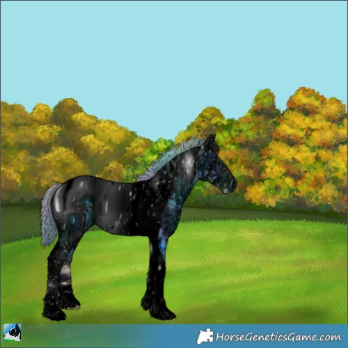 Horse Color:ERROR: UNKNOWN ANOMALY