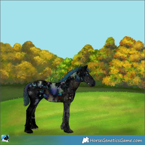 Horse Color:ERROR: UNKNOWN ANOMALY