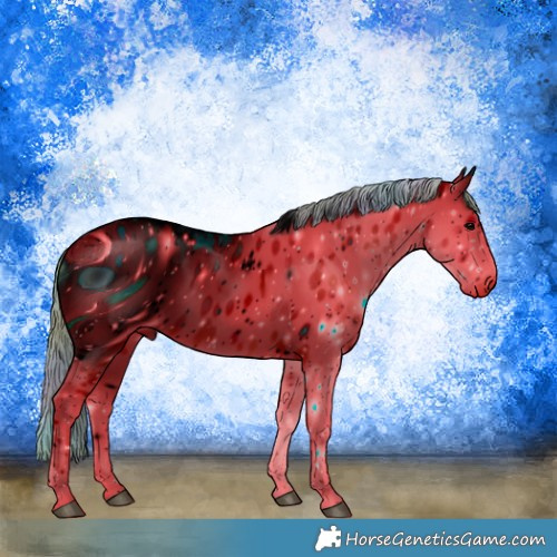 Horse Color:ERROR: UNKNOWN ANOMALY