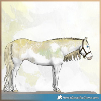 Horse Color:Watercolor White Spotted Liver Red Dun Ice Splash Brindle 