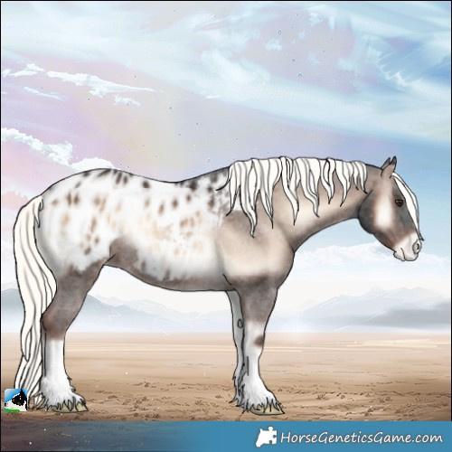 Horse Color:Liver Red Onyx Mushroom Blanket Rabicano