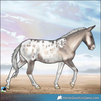 Horse Color:Liver Red Onyx Mushroom Blanket Rabicano