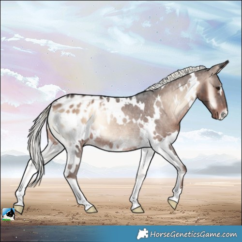 Horse Color:White Spotted Liver Red Onyx Mushroom Blanket Rabicano 