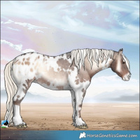 Horse Color:White Spotted Liver Red Onyx Mushroom Blanket Rabicano
