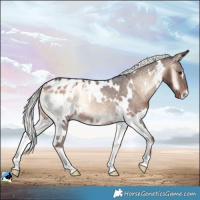 Horse Color:White Spotted Liver Red Onyx Mushroom Blanket Rabicano