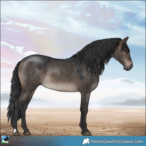 Horse Color:Brown Dun