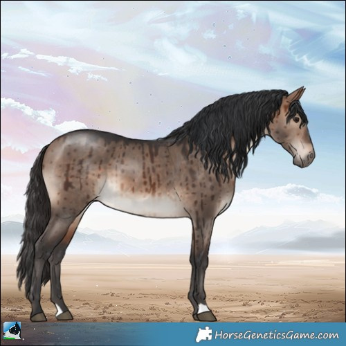 Horse Color:Brown Dun Mushroom Brindle